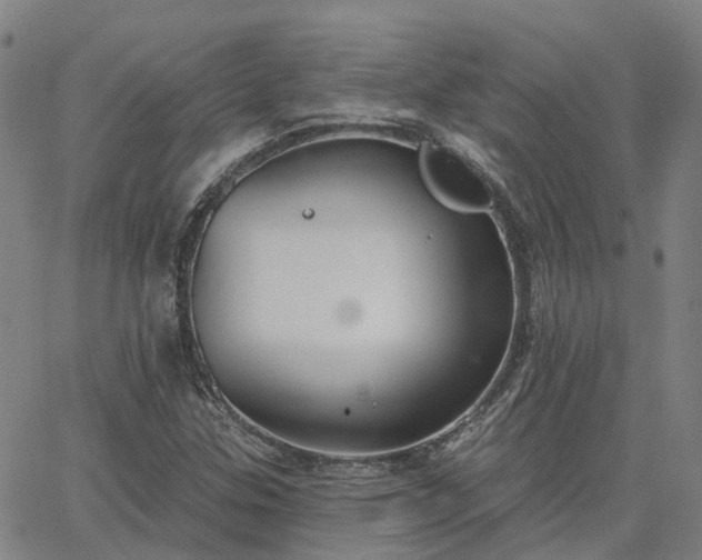 X0000063451307200601271529