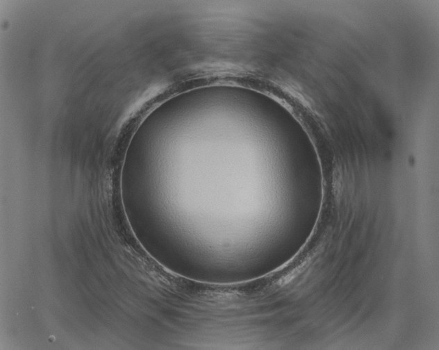 X0000063451309200601271529