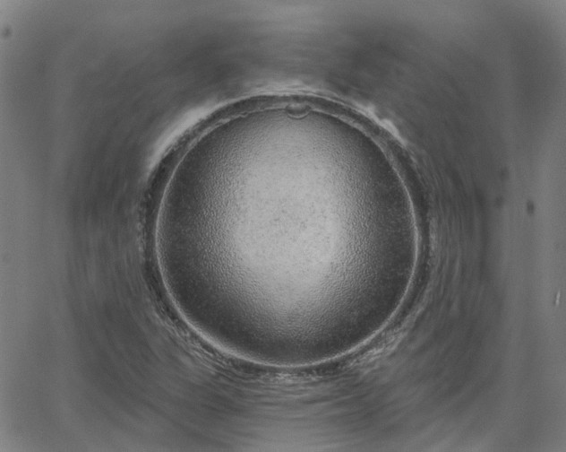 X0000063451311200601271529