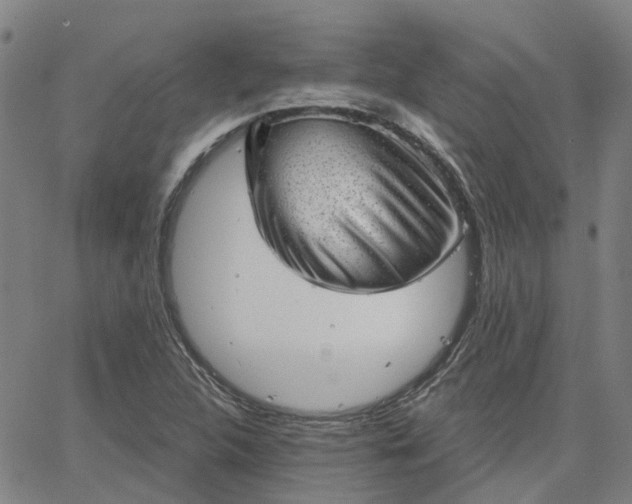 X0000063451312200601271529