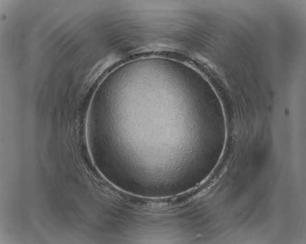 X0000063451313200601271529