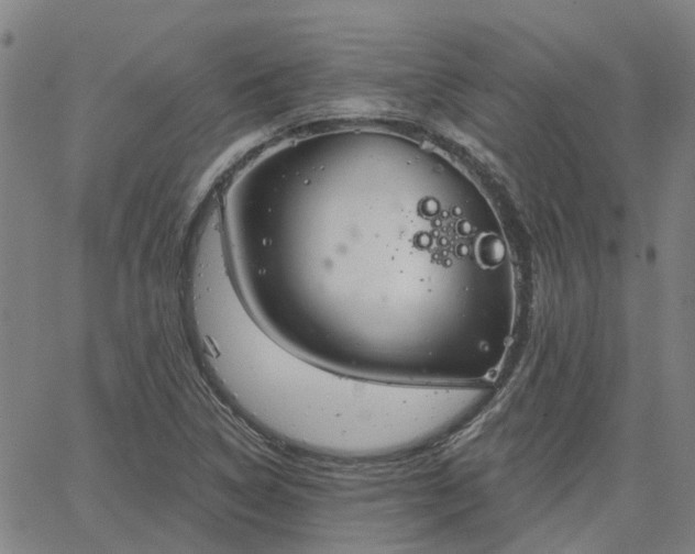 X0000063451314200601271529