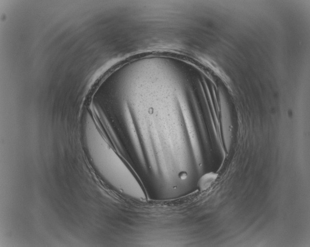 X0000063451316200601271529