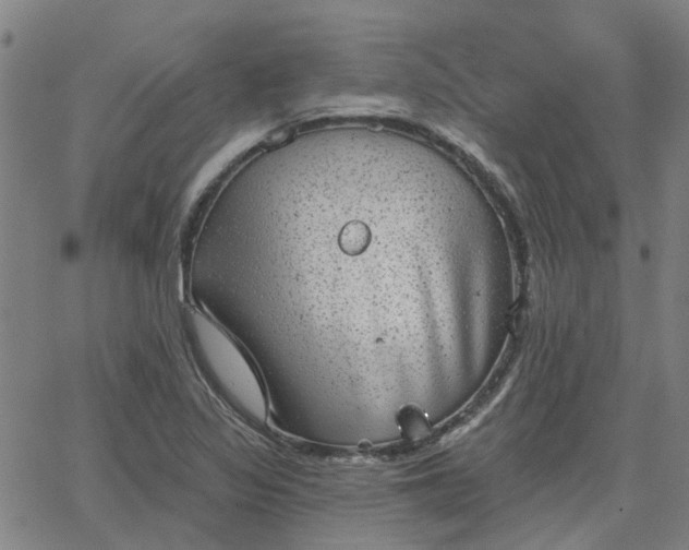 X0000063451317200601271529