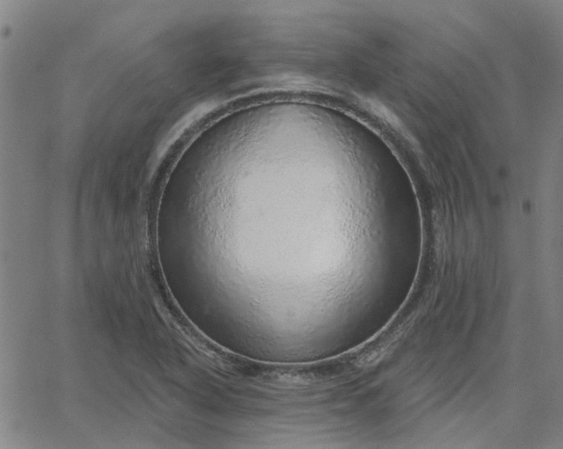 X0000063451318200601271529