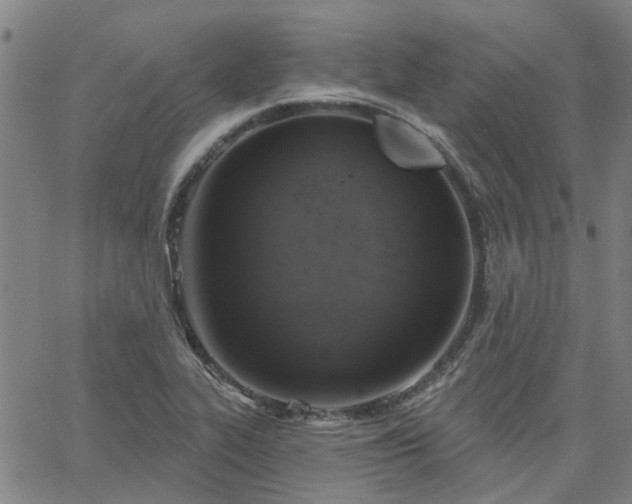 X0000063451319200601271529