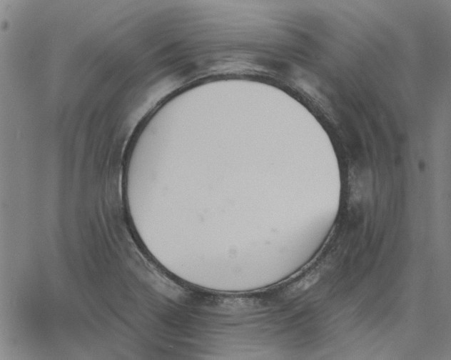 X0000063451322200601271529