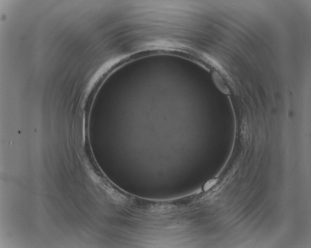 X0000063451323200601271529