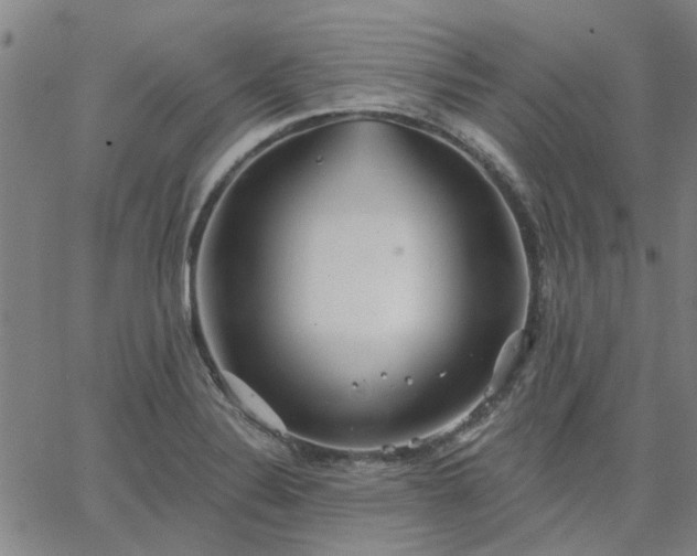 X0000063451324200601271529