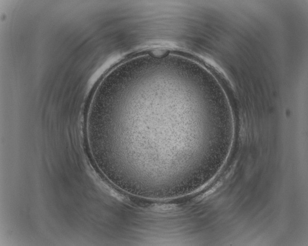 X0000063451325200601271529