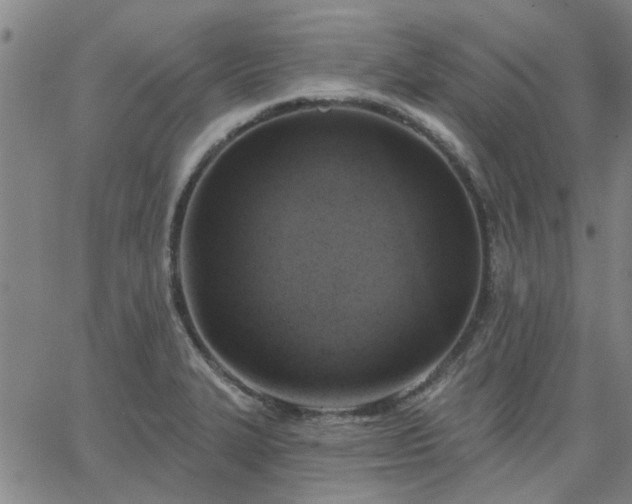 X0000063451327200601271529