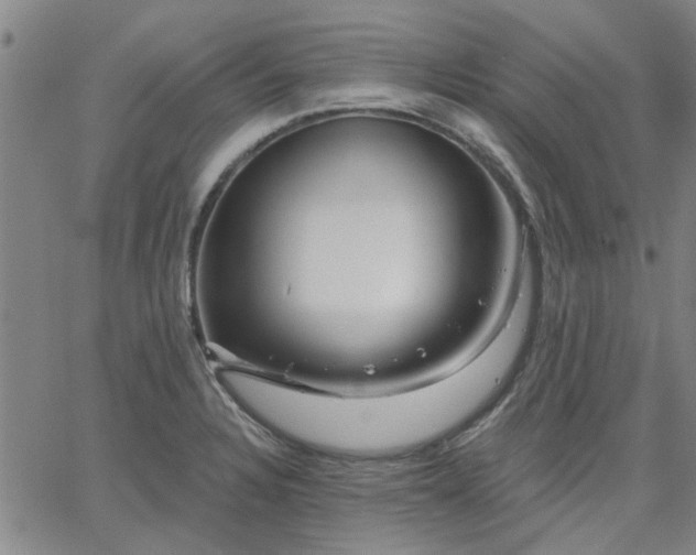 X0000063451328200601271529