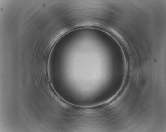 X0000063451329200601271529