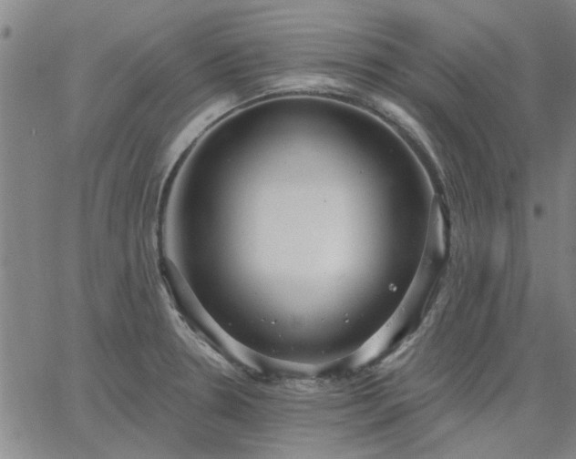 X0000063451330200601271529