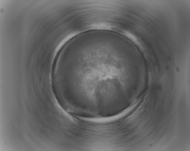 X0000063451331200601271529