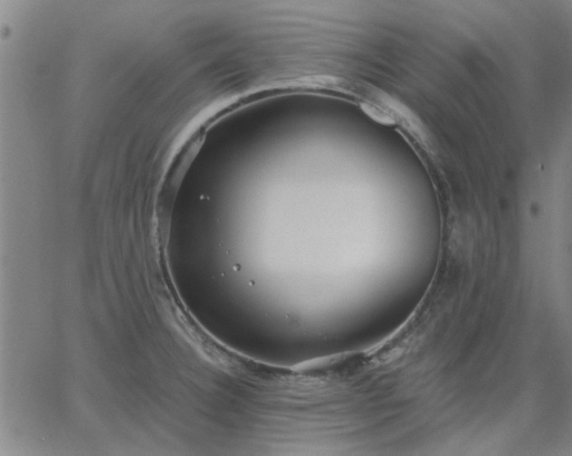 X0000063451332200601271529