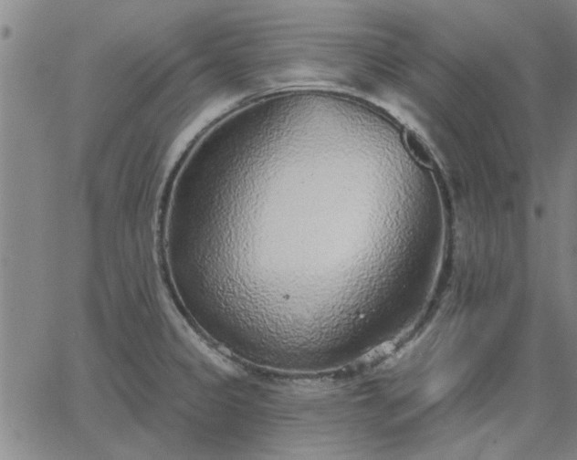 X0000063451333200601271529