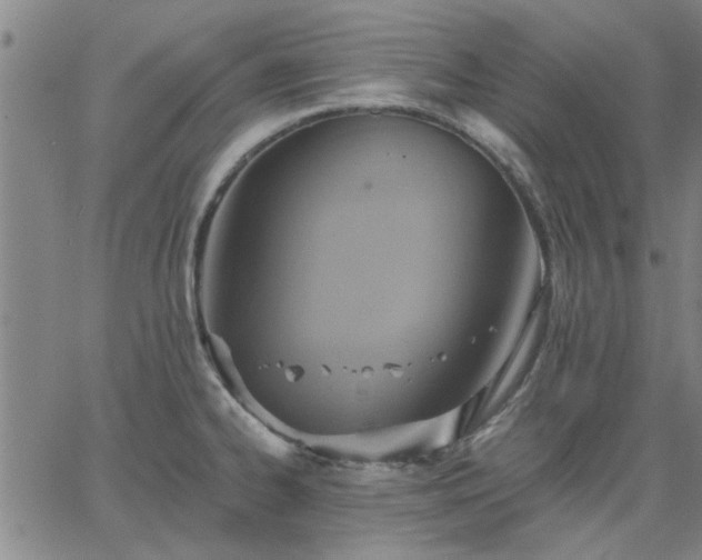 X0000063451334200601271529