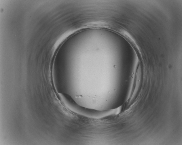 X0000063451336200601271529