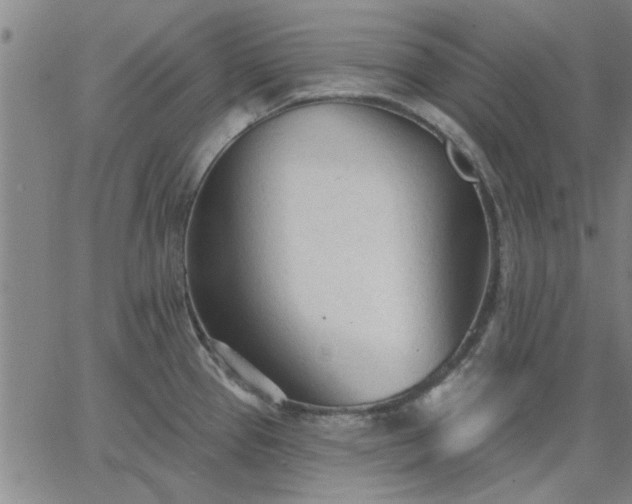 X0000063451337200601271529