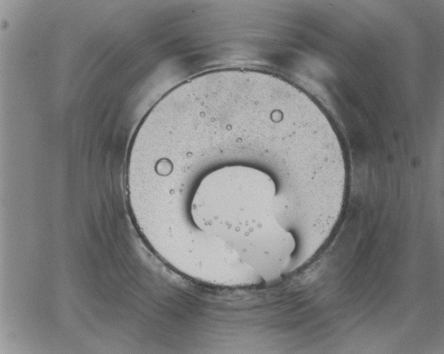 X0000063451338200601271529