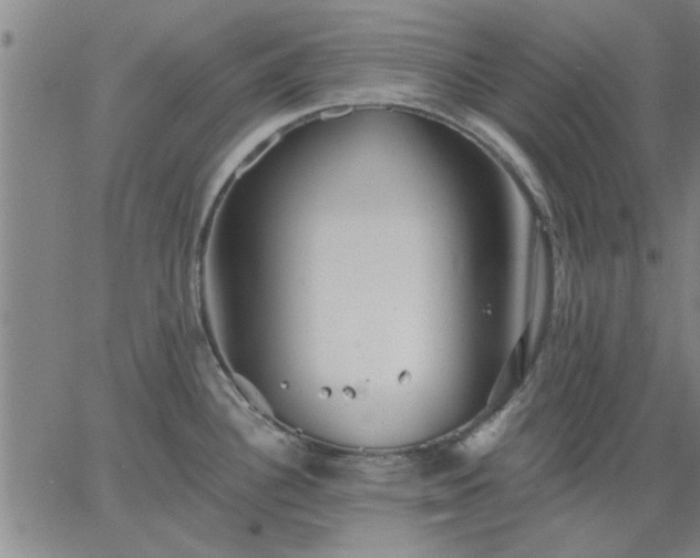 X0000063451340200601271529