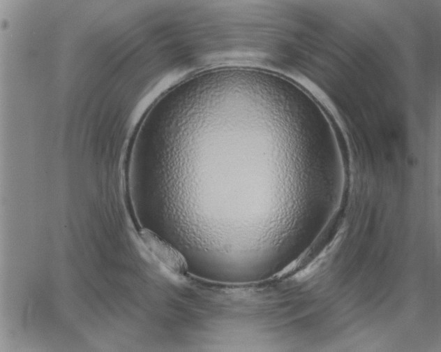 X0000063451341200601271529