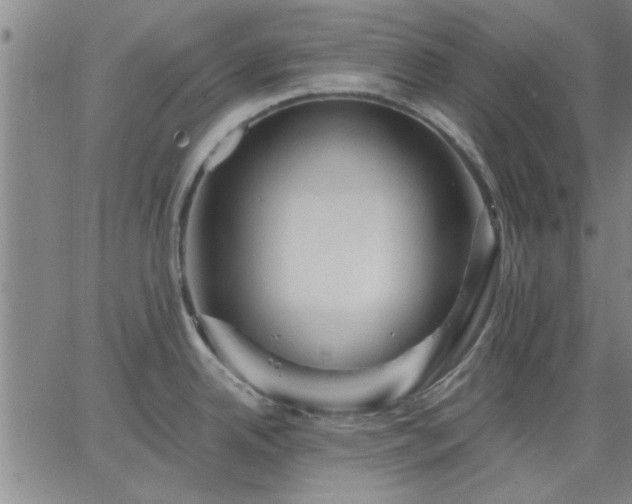 X0000063451342200601271529