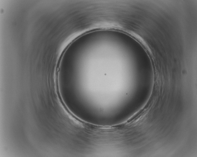 X0000063451343200601271529