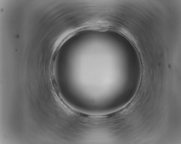 X0000063451344200601271529