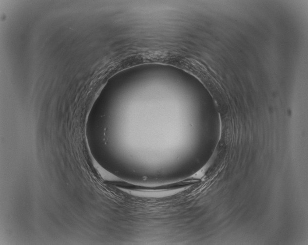 X0000063451345200601271529