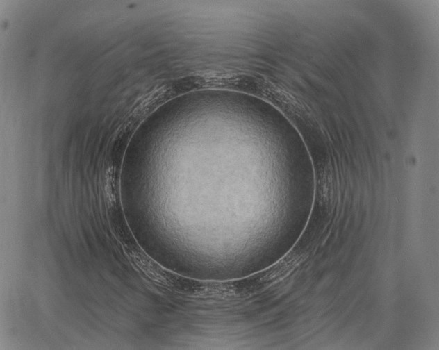 X0000063451346200601271529