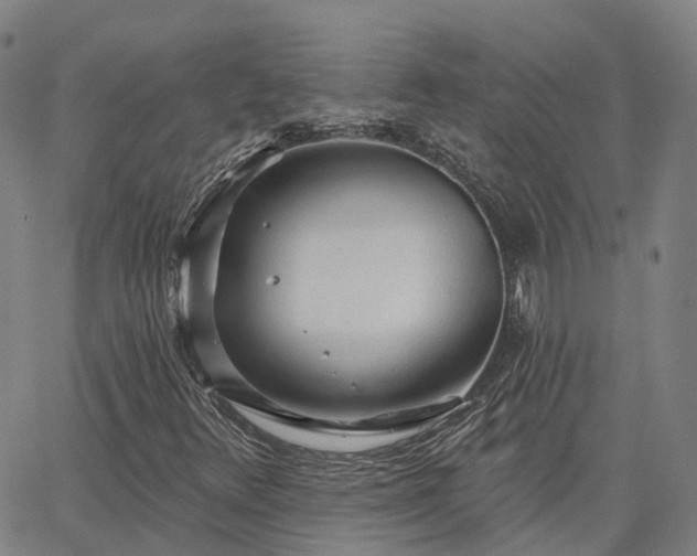 X0000063451348200601271529