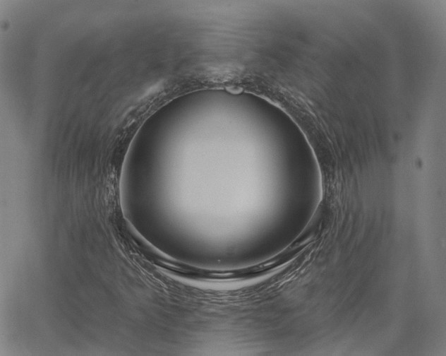 X0000063451349200601271529