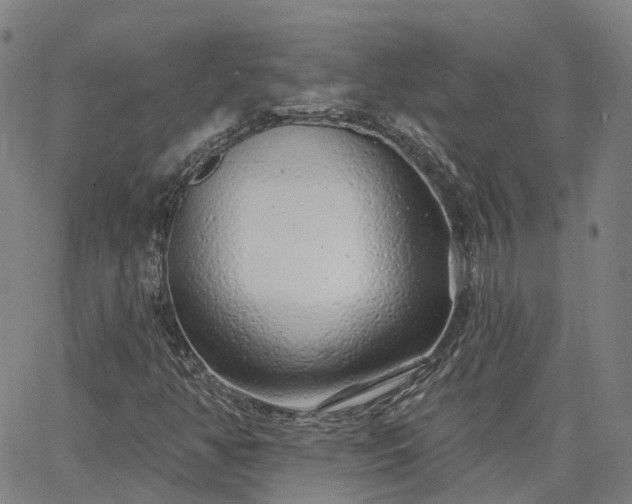 X0000063451350200601271529