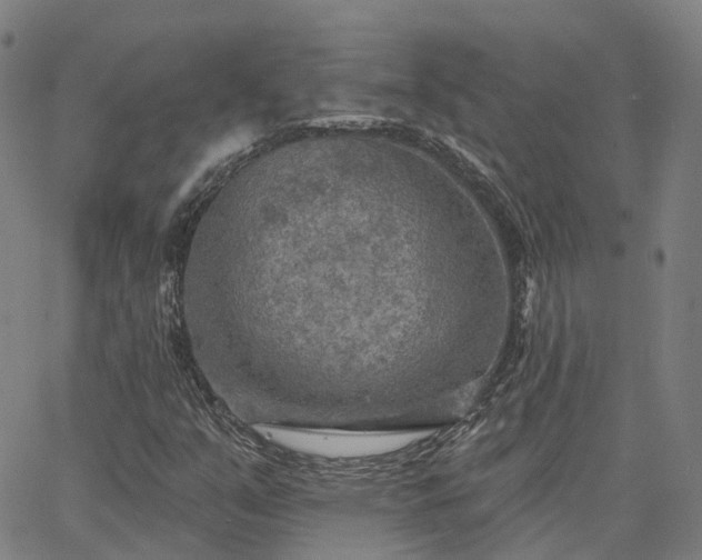 X0000063451351200601271529