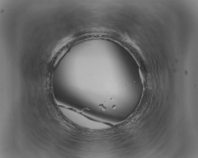 X0000063451352200601271529