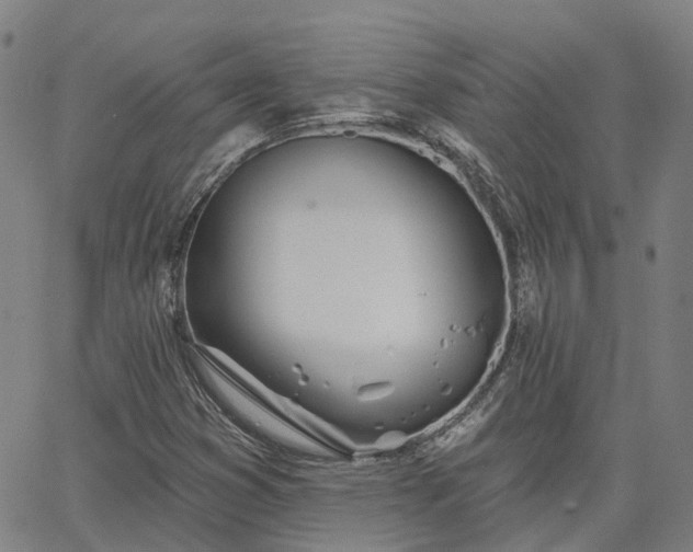 X0000063451353200601271529