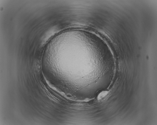 X0000063451355200601271529