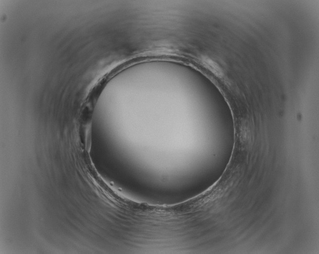 X0000063451356200601271529