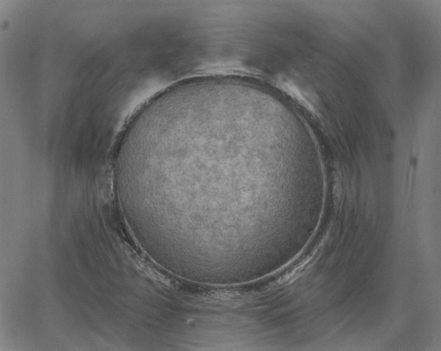 X0000063451358200601271528