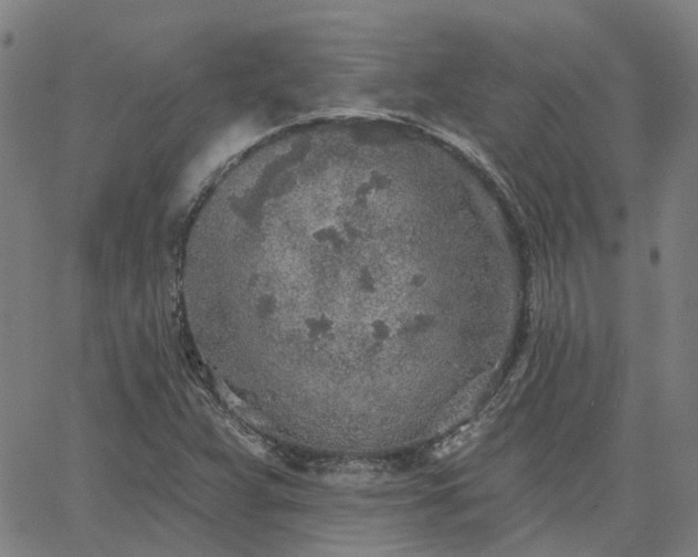 X0000063451359200601271528