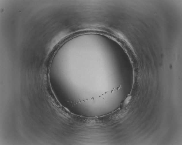 X0000063451360200601271528