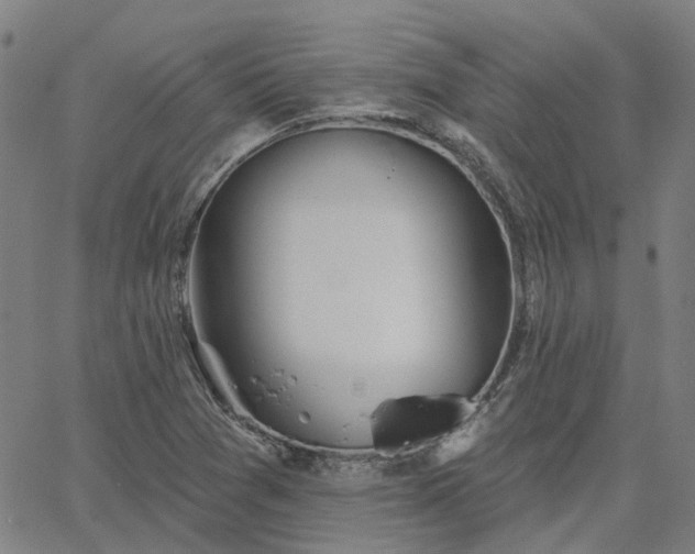 X0000063451361200601271528