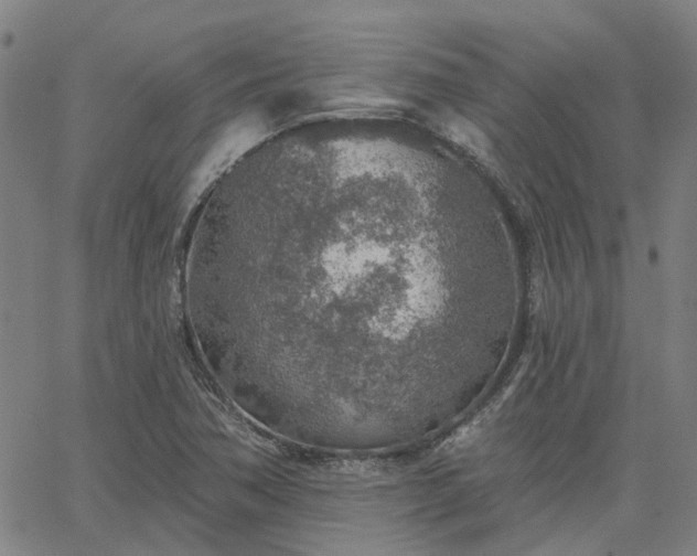 X0000063451362200601271528