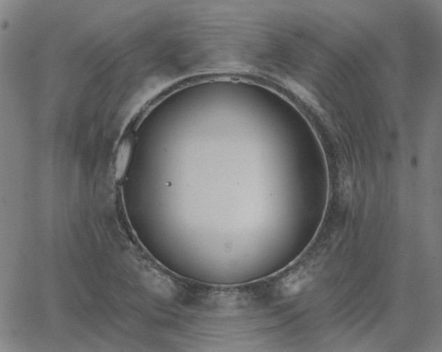 X0000063451364200601271528