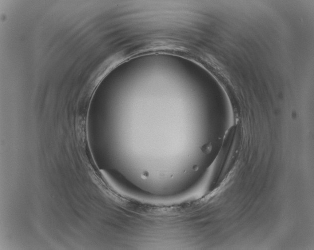 X0000063451369200601271528