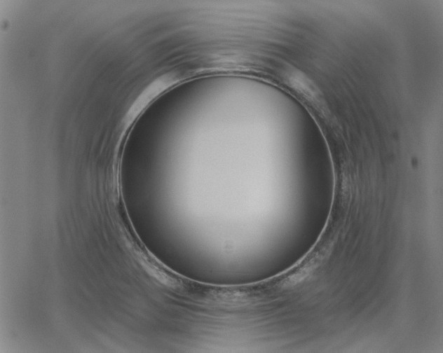 X0000063451370200601271528