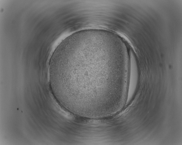 X0000063451371200601271528