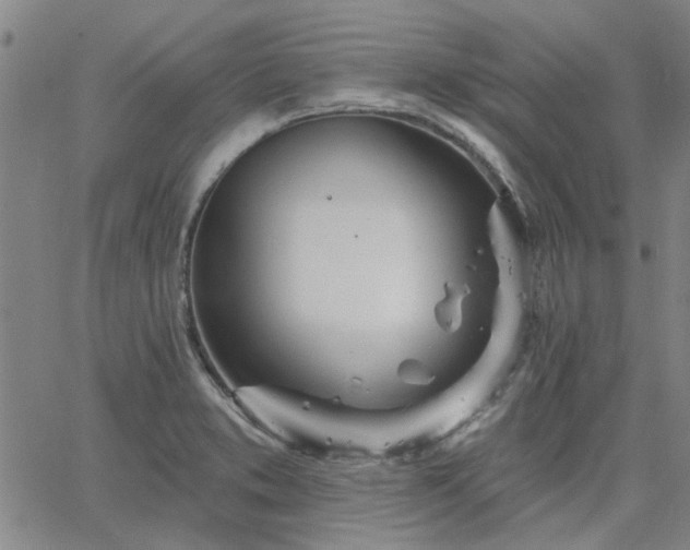 X0000063451373200601271528